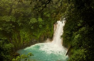 Manuel Antonio : Les immanquables de la plage du Costa Rica
