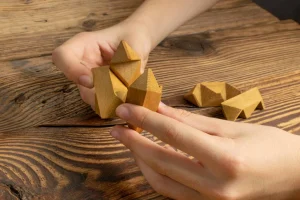 puzzle-3d-passionnes-pourquoi